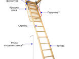 Чердачная лестница Docke - фото 1