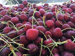 Шуақты Өзбекстанның шиелері, 2025 ж