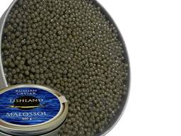 Черная икра осетра Premium