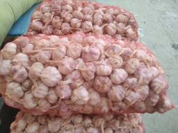 Чеснок сухой