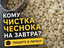 Чищеный чеснок
