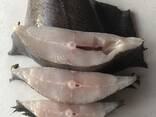 Чёрный палтус / Greenland Halibut - фото 1