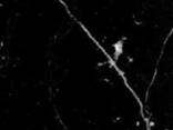 Мрамор CT-102 Nero-Marquina-Marble - фото 2