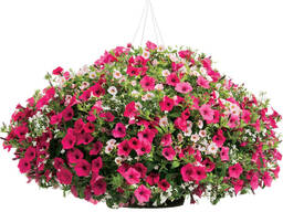 Цветники Ширина: 240-5000 мм, H= 60-3000 мм, L= 280-2200 мм