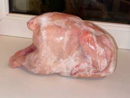 Цыплята бройлер 1 сорт