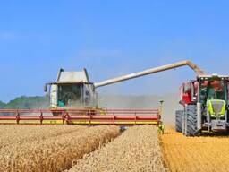 Крестьянское хозяйство 28000 га Акмолинской