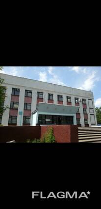 Действующий бизнес