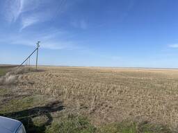 Единственная частная агроземля в регионе - 205 га инвестплощадка в Казахстане