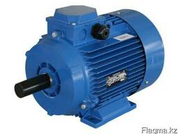 Электродвигатель 100 S4
