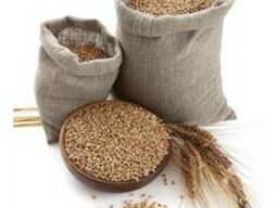 Фасовка и отгрузка в хопперы