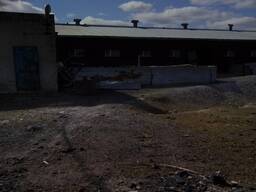 Ферма в Коянды рядом с Экибастузом