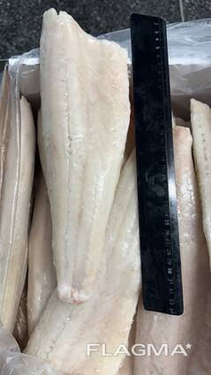 Филе судака/European pike-perch fillet