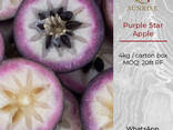 Фиолетовое звездчатое яблоко из Вьетнама - photo 1