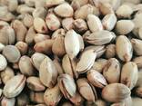 Фисташки - фото 3