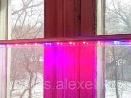 Фитолампа для подоконника красно-синяя 4:1 на присосках