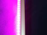 Фитолампа линейная полного спектра 120 см для полок и стеллажей - фото 2