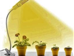 Көшеттер мен гүлдерге арналған икемді фитолампа киім қысқышы