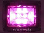 Фитосветильник светодиодный полного спектра для теплиц 100W - фото 2