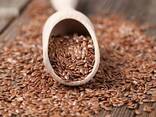 Flax - фото 2