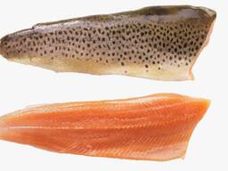 Форель филе заморозка продаем оптом