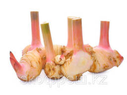 Галангал свежий 100 г