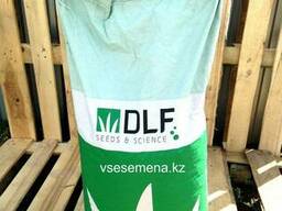 Газонная трава Playground