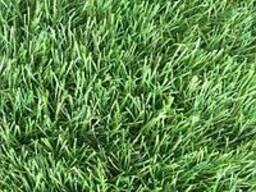 Газоны рулонные 40мм (OG LL, OG L, LG L, OG)