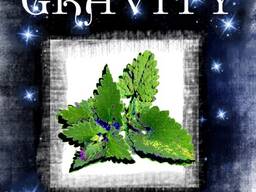 Гидролаты сосны и мелиссы, любые гидролаты на заказ