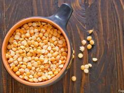 Закупаем Горох