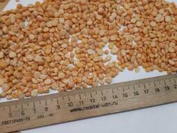 Услуги по переработке давальческого сырья