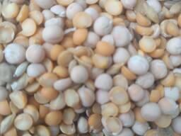 Горох колотый