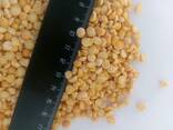 Крупа Гречневая оптом - фото 3