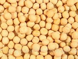 Горох колотый, шлифованный