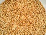 Горох колотый шлифованный FCA - фото 1