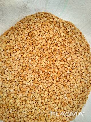 Горох колотый шлифованный FCA