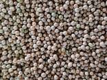 Горох очищенный большими объемами на элеваторе от производителя на экспорт - фото 1