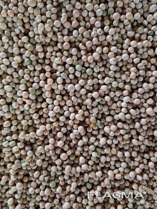 Горох очищенный большими объемами на элеваторе от производителя на экспорт