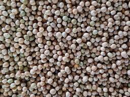 Горох очищенный большими объемами на элеваторе от производителя на экспорт