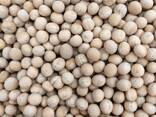 Горох жёлтый производство - фото 2
