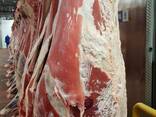 Говядина - фото 2