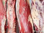 Говядина халяль оптом Казахстан, Азербайджан, Узбекистан - фото 2