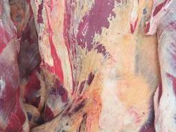 Сиыр еті сиыр еті 1 кат Белоруссиядан мұздату