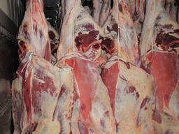 Говядина мороженная, халяль