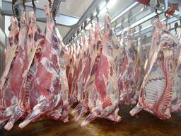 Говядина на кости