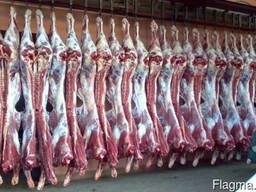 Говядина охлажденная в полутушах оптом Казахстан Узбекистан