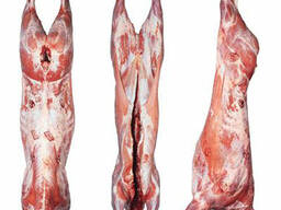 Говядина полутушами оптом