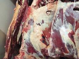 Говядина: полутуши, блочная