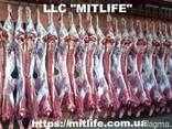 Говядина Телятина Мясо Халяль оптом Украина LLC Mitlife - фото 1
