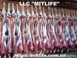 Говядина Телятина Мясо Халяль оптом Украина LLC Mitlife