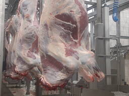 Говядина тушами, блочное мясо.